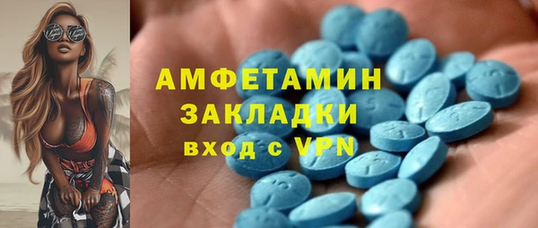 гидра Вязьма