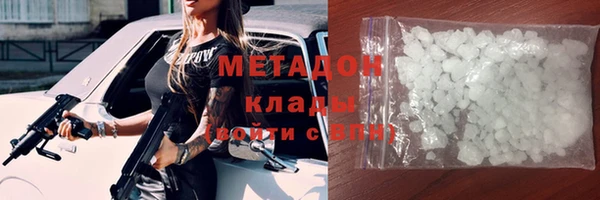 гидра Вязьма