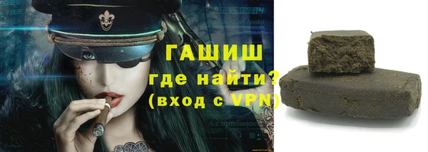 гидра Вязьма