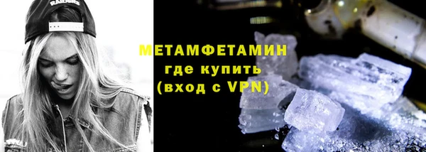 гидра Вязьма