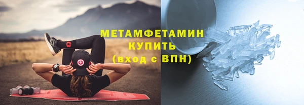 гидра Вязьма