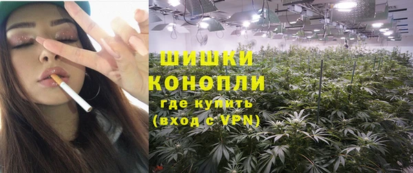 гидра Вязьма